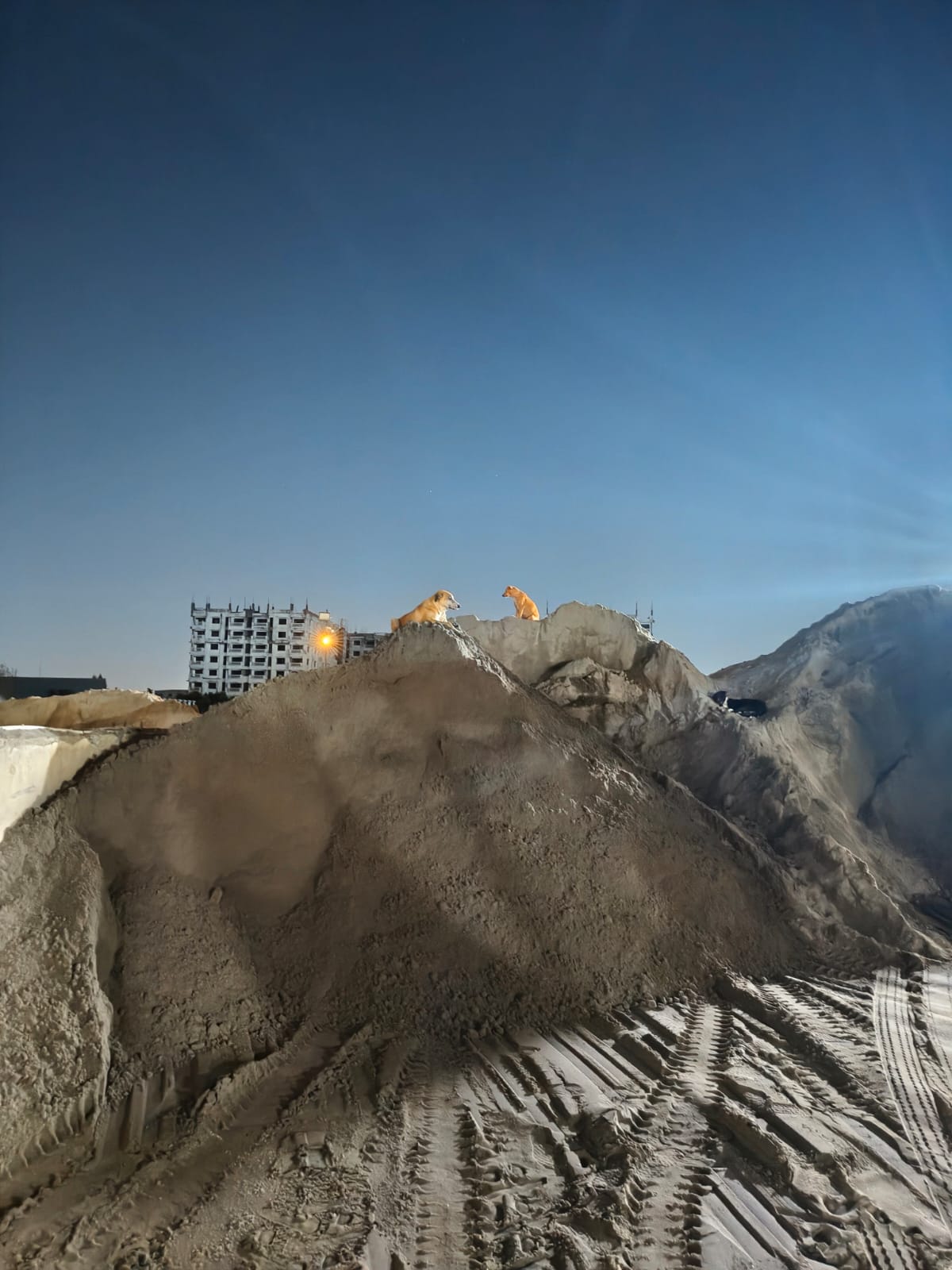 Truck unloading M-sand at a construction site in Chennai